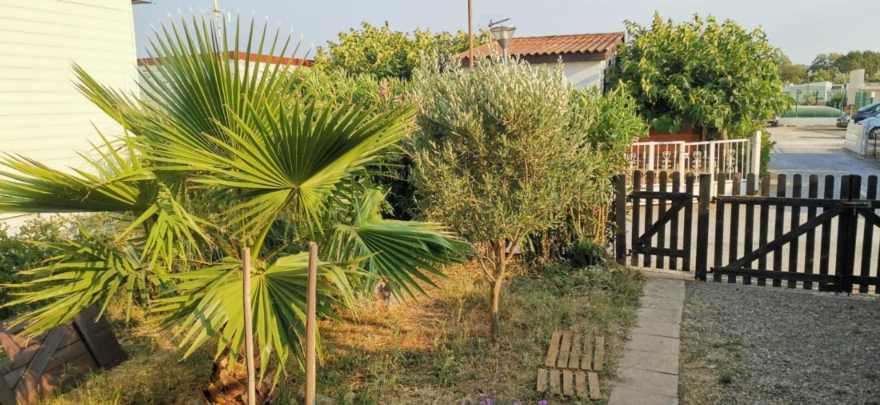 Chalet En Bois "Le Libellule" Sigean Exterior foto